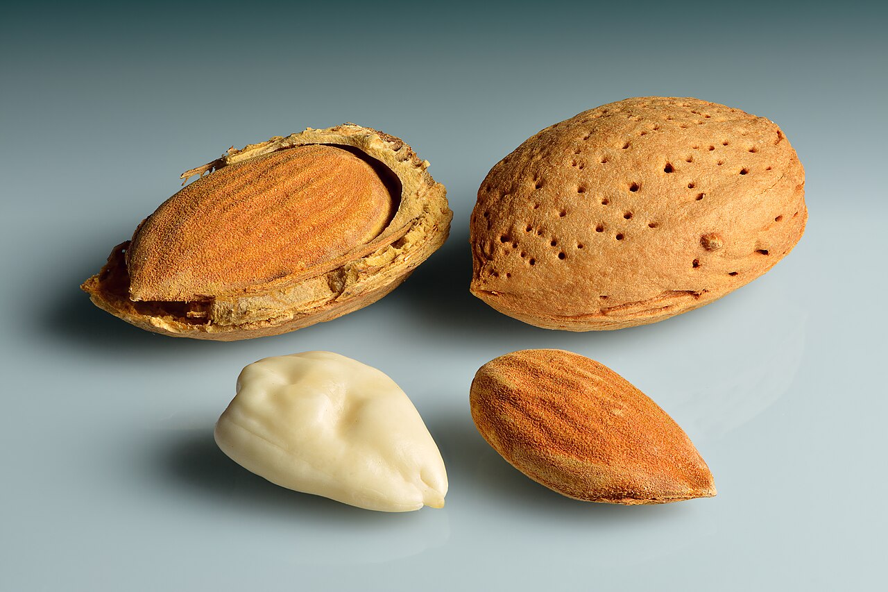 Almond Fruit
