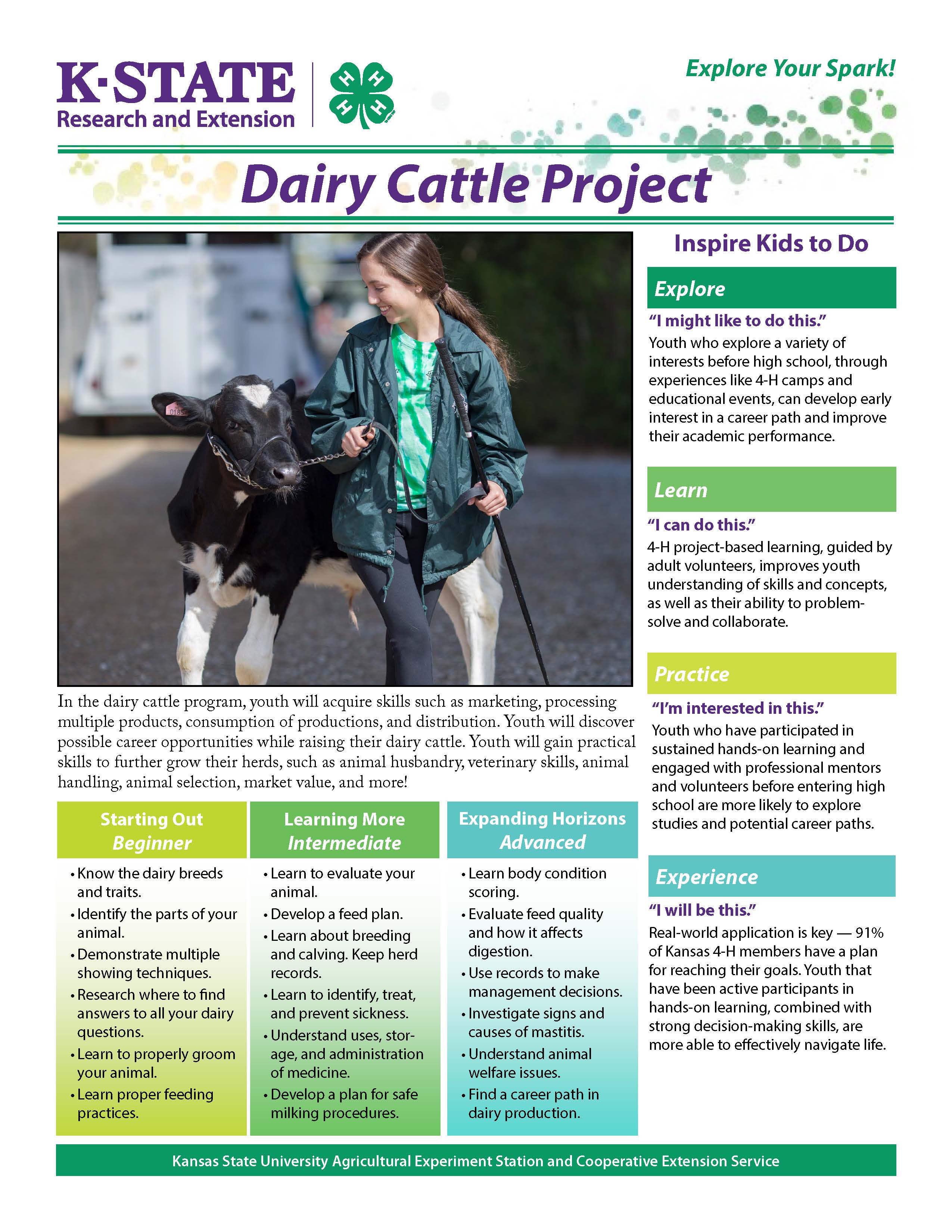 Dairy Project