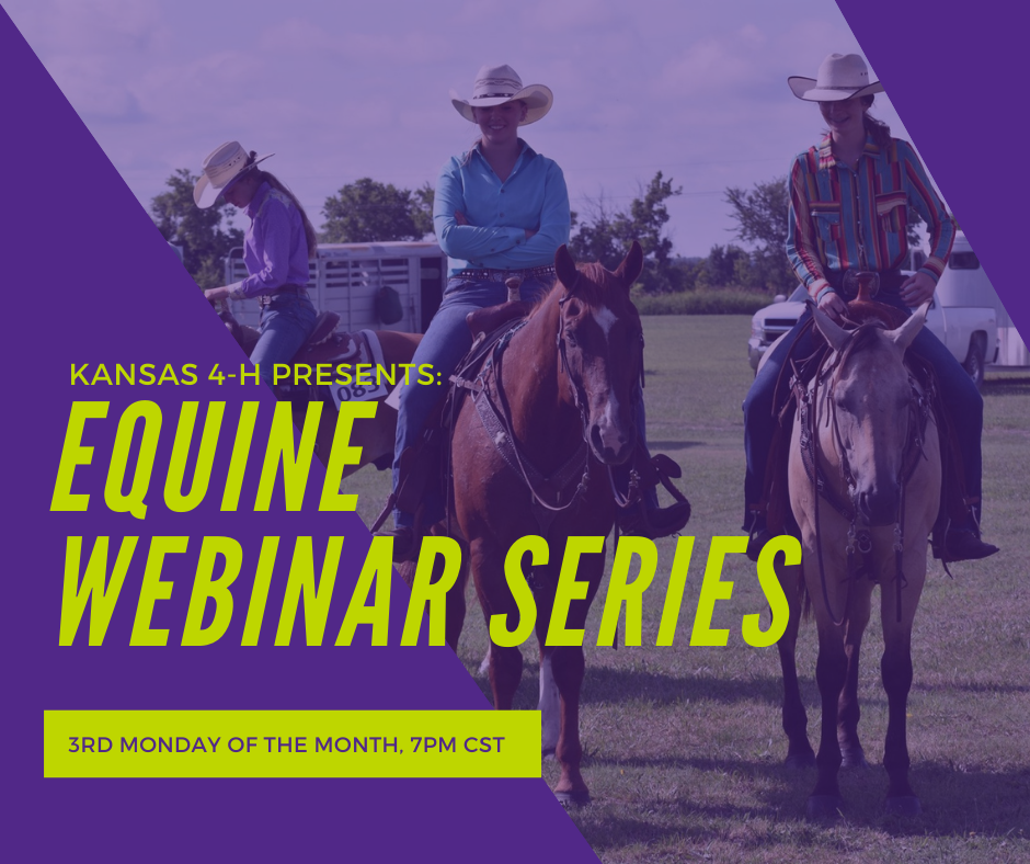 Equine Webinar